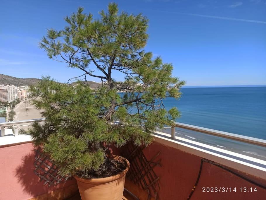 Apartamento Espectacular Terraza Y Vistas En 1A Linea De Playa Cullera Exterior foto